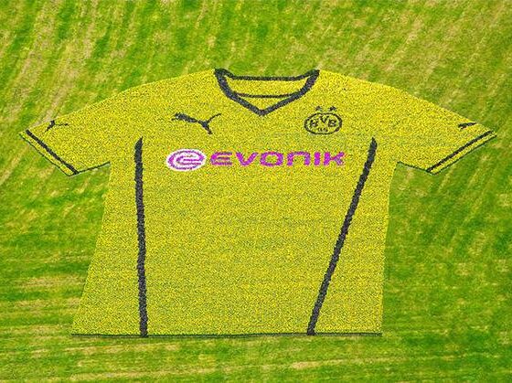 maglia borussia