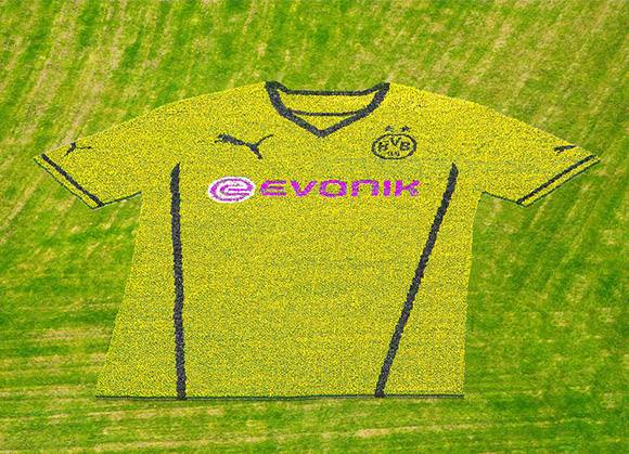 maglia borussia