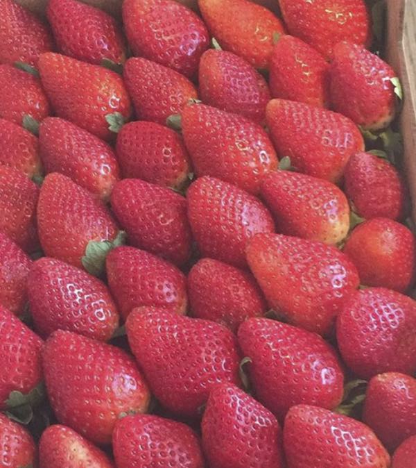 Dieta come dimagrire per l'estate ecco 10 consigli utili per perdere peso