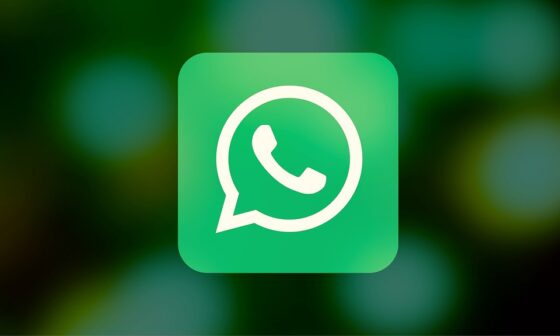 WhatsApp ecco come scrivere un messaggio in forma circolare