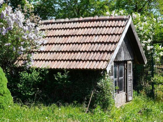 La casetta da giardino dei tuoi sogni: ecco come costruirla senza spendere una fortuna