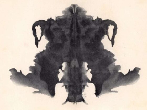 test cosa vedi nell'immagine